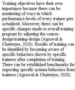 Training Objectives